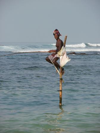 Sri Lankan stilt fisherman